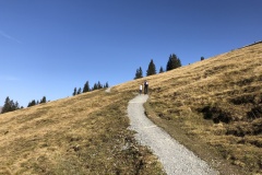Wandergebiet Metsch-Elsigen